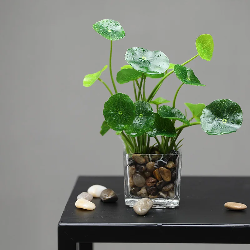 Erxiaobao искусственные растения со стеклянным горшком имитация бонсай в горшках помещенный зеленый четырехлистный клевер домашний стол окна украшения - Цвет: Malus Crabapple