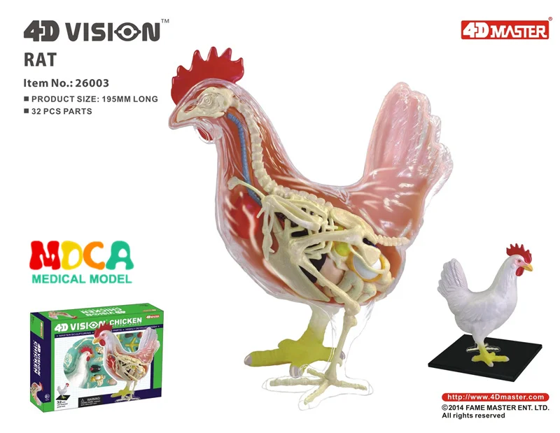 4d мастер-головоломка сборная игрушка животное собака кошка курица лошадь Акула КИТ биология орган анатомическая модель для медиков обучающая модель - Цвет: Chicken 26003