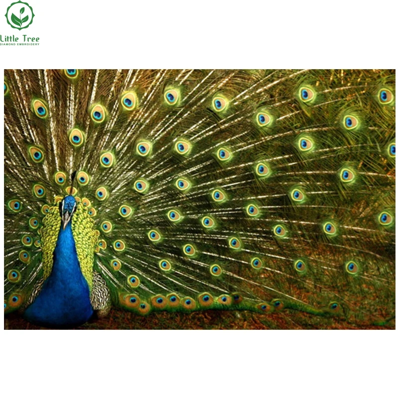 

2017 Real Knitting Needles New 5d Diy Diamond Painting Handicraft Set Embroidery Rectangle Resin Craft Mosaic Gorgeous Peacock