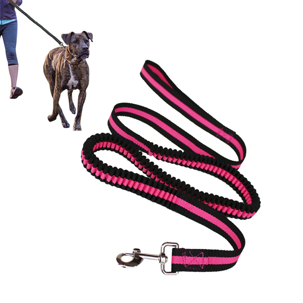 Dog Leash Retractable Leash for Dogs Nylon Pet Dogs Training Walking Lead Leashes Correa Perro