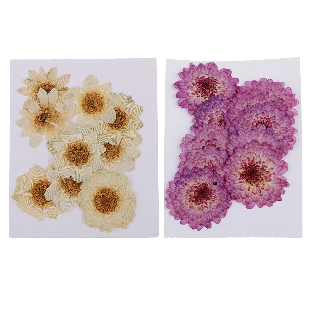 

20 Pcs Mix Pressed Dried Flowers Plants Herbarium For Phone Case Decoration