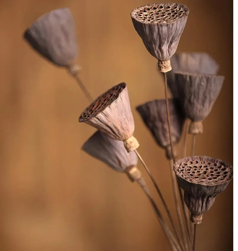 55 cm mini dry lotus dry flower bouquets dried simulation flowers