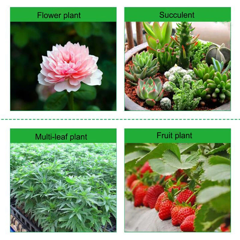 Grow Lights Hydroponic 300W 600W 1000W 1200W 1500W 2000W Plant Hydroponic LED Full Spectrum Grow for Indoor Plant LED (14)