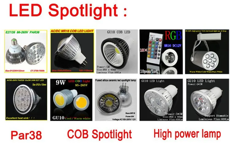 SPOTLIGHT