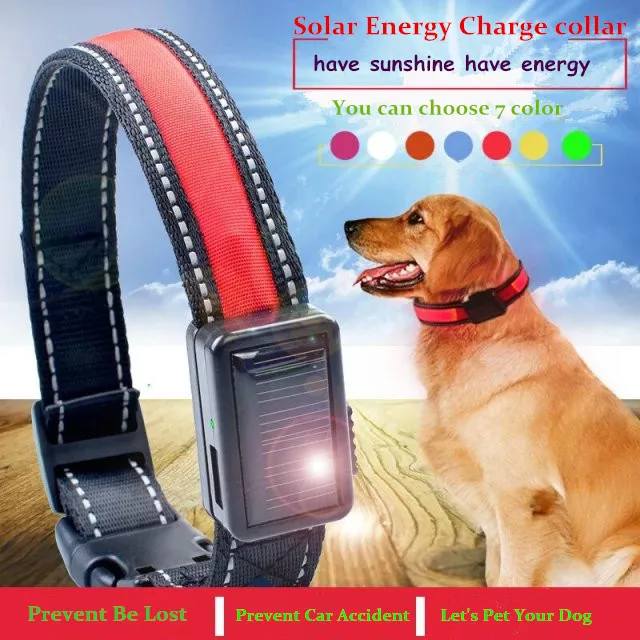 

2016 New Style Environmental Solar Energy Charging USB Recharging Dog Collar With 7 Color