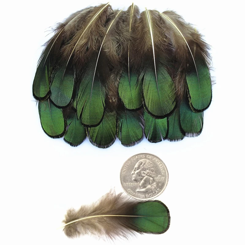 

Natural Green Lady Amherst Bronze Iridescent Plumage Feathers for Crafts 5-8CM Feathers for Jewelry Making Feathers Plumas Plume