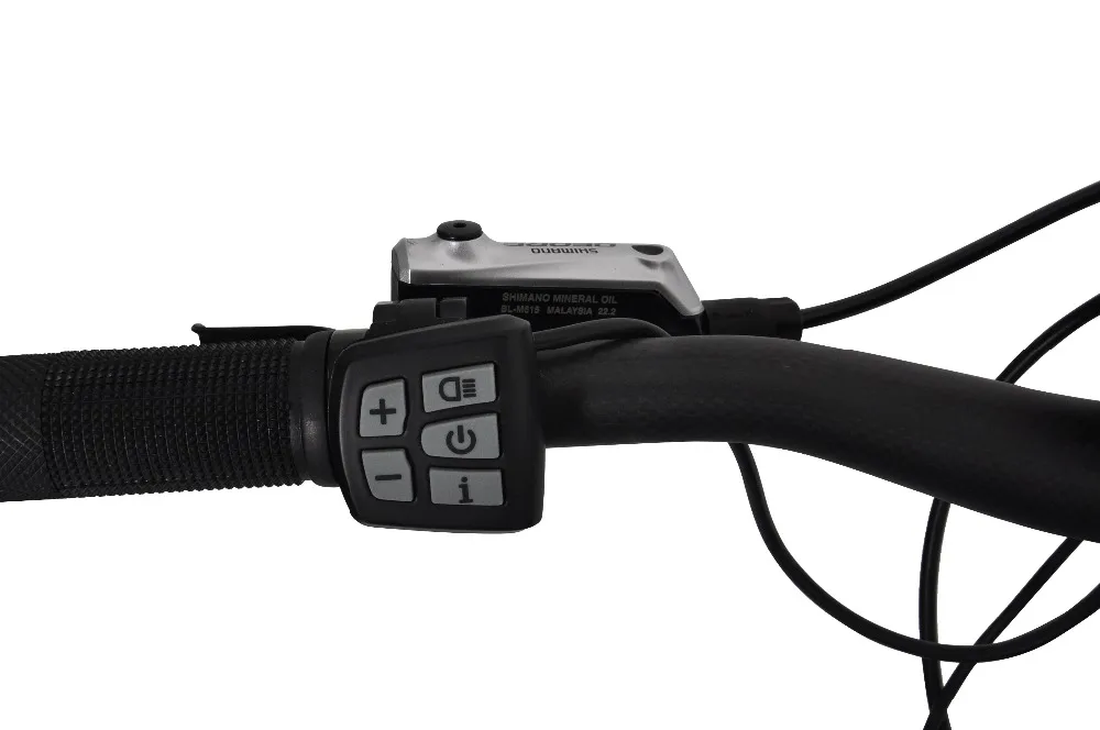 Discount Electric Bike Carbon Fiber ebike 29er Bicycle Mountain bike velo electrique 10 speeds Panasonic Battery powerful 5