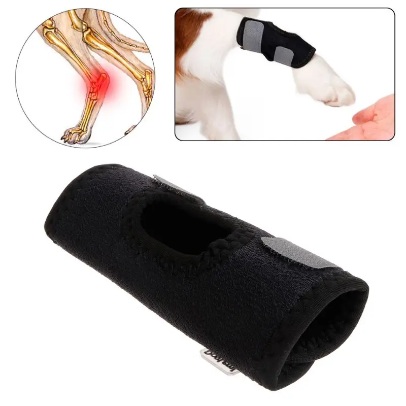 

Pet Knee Pad Injury Protector Dog Puppy Support Brace Leg Anti Lick Recover Hock Anti Twist Fixed Joint Wound Dog Trainings