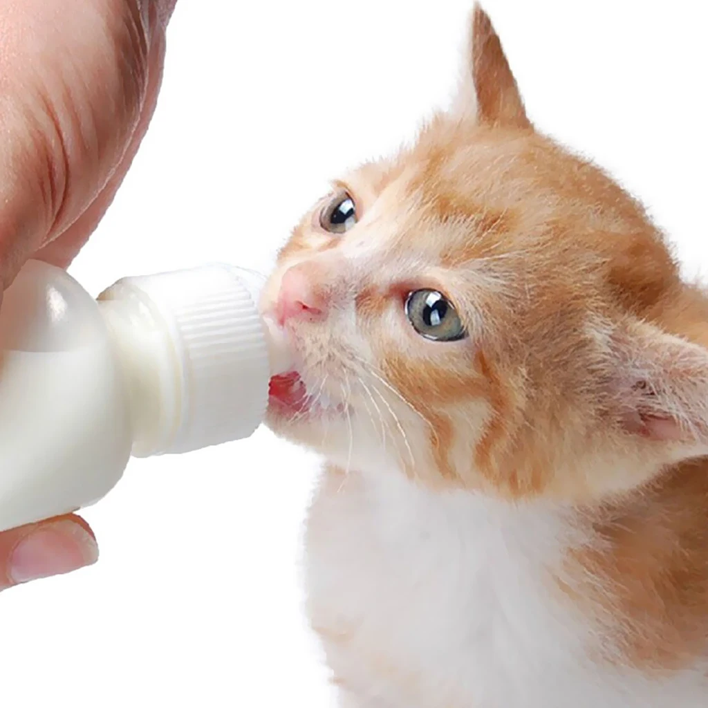 50ml Soft Dog Cat Baby Silicone Gel Nipple Pacifier Pet Milk Bottle Feeding Tool