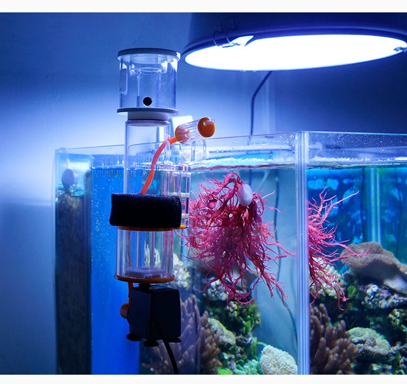 marine tank coral reef necessary mini protein skimmer 15w suitable for
