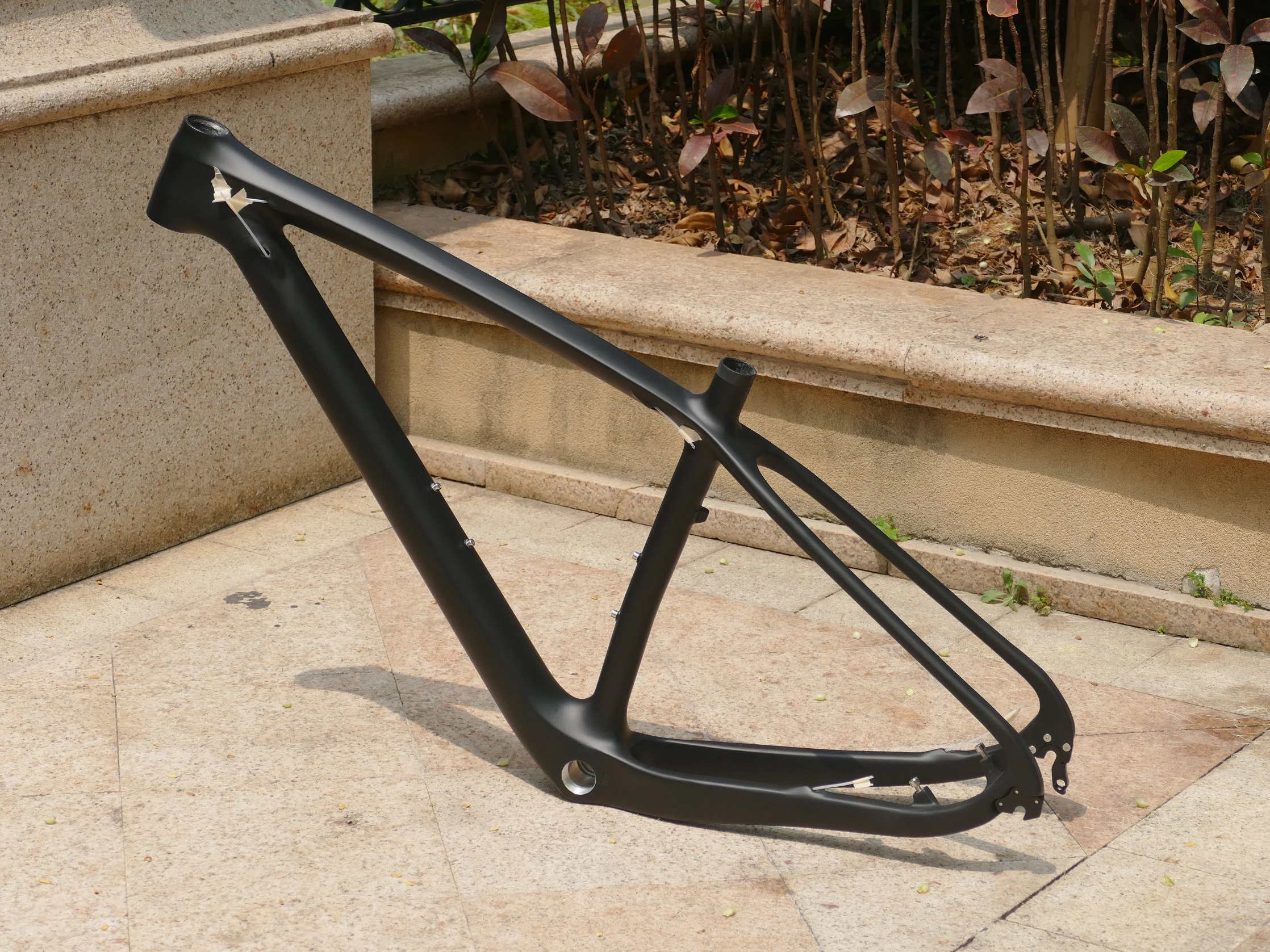 2019 29er