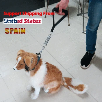 

Dog Anti-winding Rope Pet Anti-winding Traction Rope One Drag Two Elastic Double-headed Leash dog leash