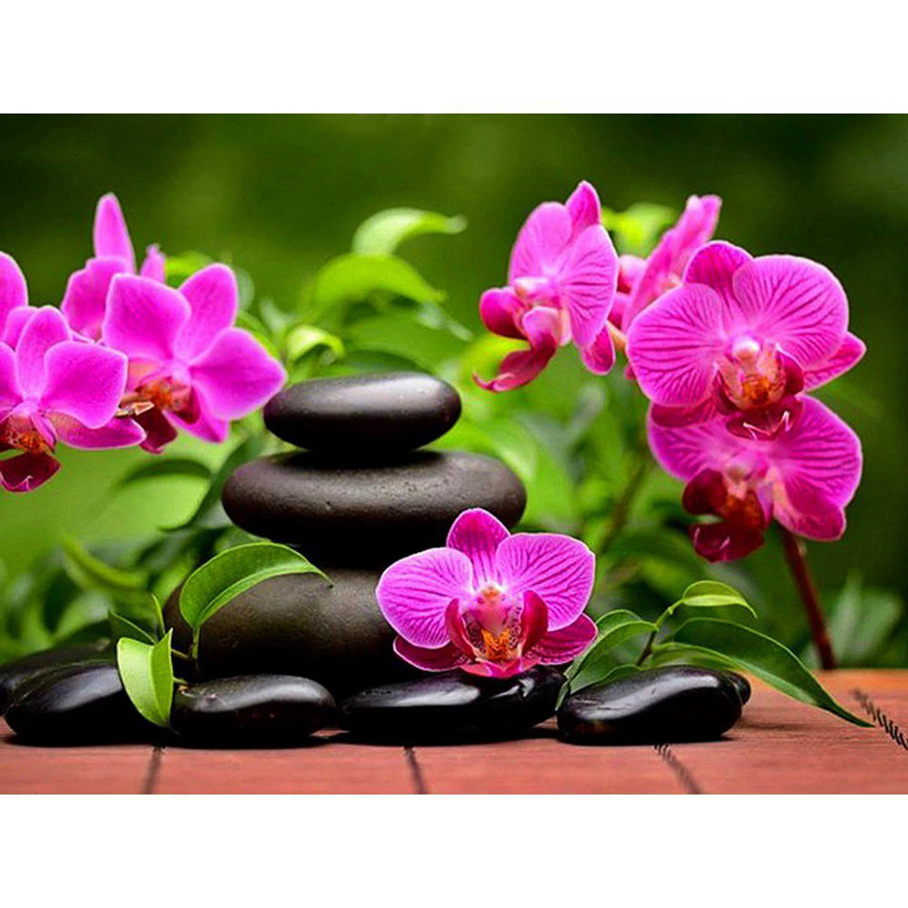 

DIY Diamond Embroidery Orchid stone Square Pattern Rhinestone Sets Diamond Painting Cross Stitch Wall Decor Needlework