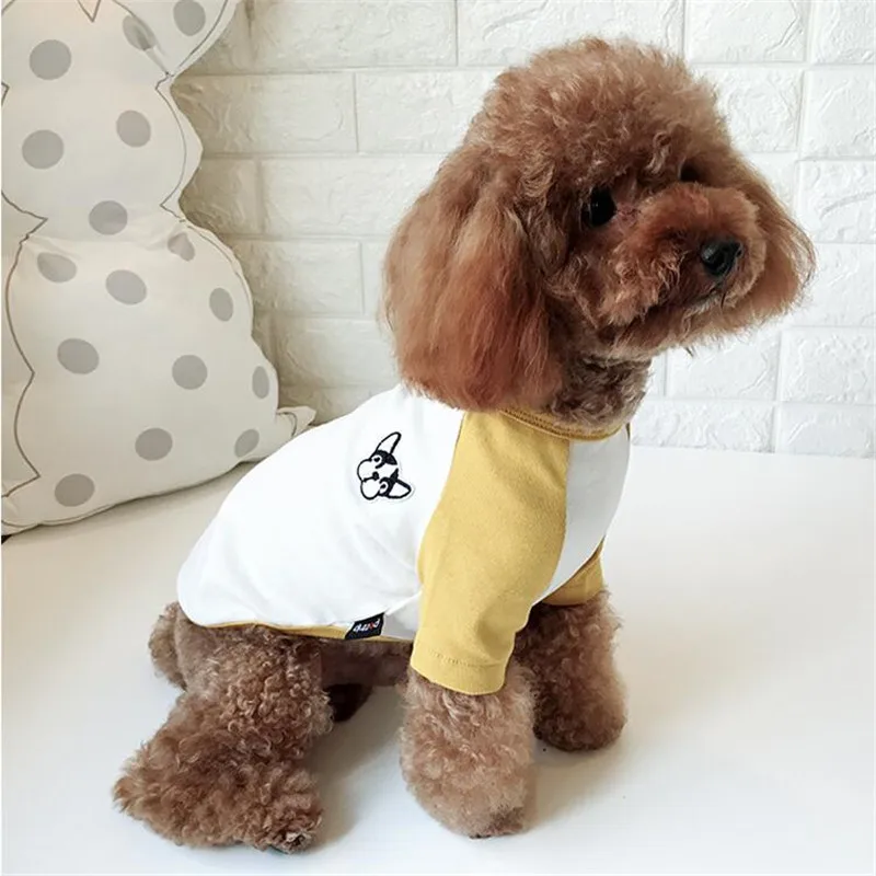 QQ20190316065526
