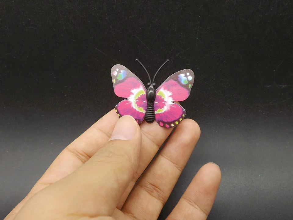 I250-Butterfly (1)