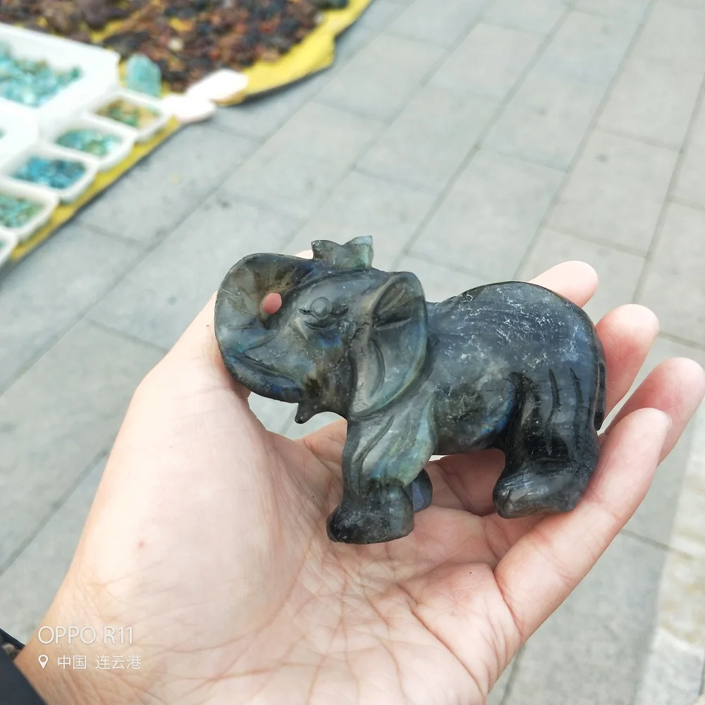 IMG20181116084442