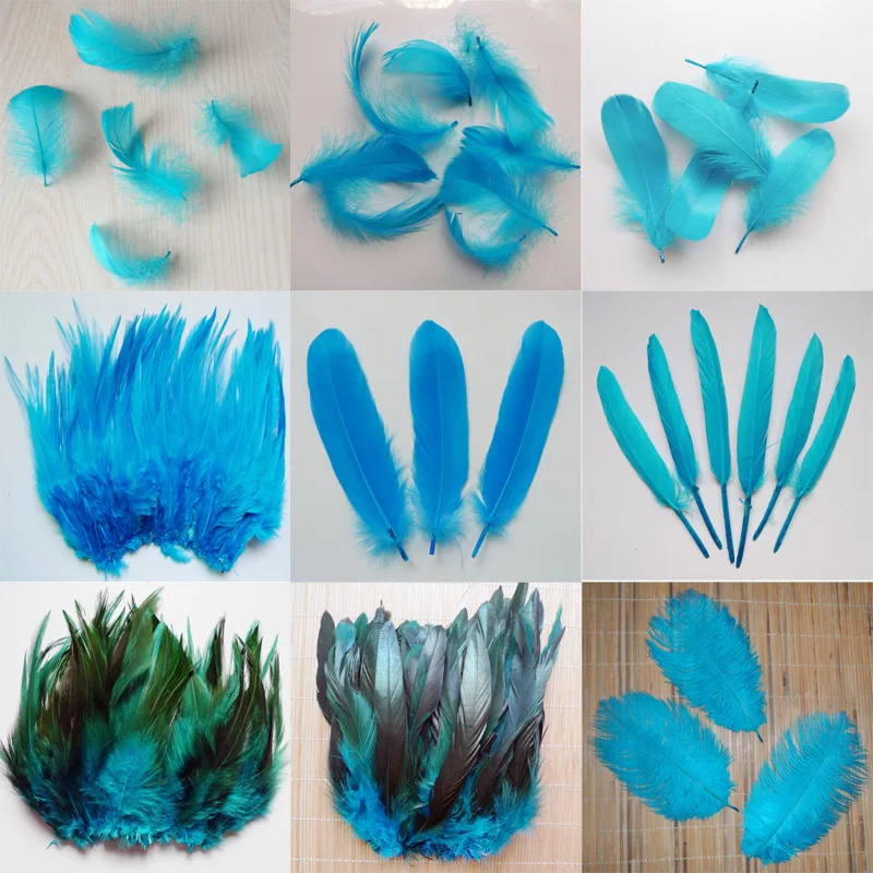 

20pcs 11 kind Sky blue Pheasant tail Chicken feathers Goose Rooster Plumas for Party DIY Craft decoration Ostrich feather