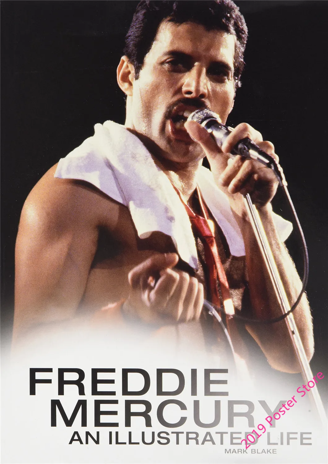 Poster decorativo da parete per soggiorno 30 x 45 cm DIDIWEI Freddie Mercury Displate camera da letto Poster decorativo da parete per soggiorno 30 x 45 cm DIDIWEI Freddie Mercury Displate camera da letto