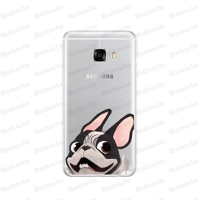 Cute  French Bulldog cartoon dog and cat