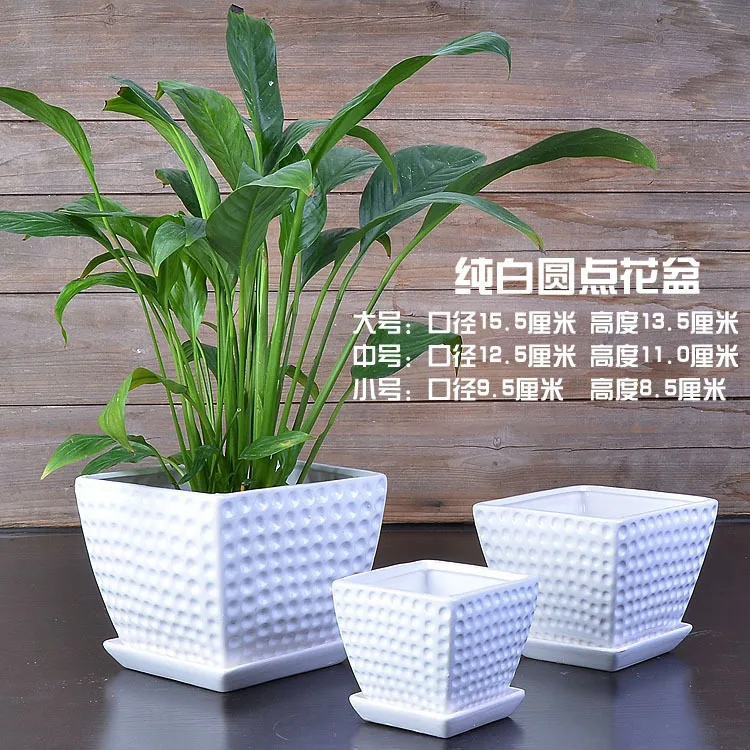 

Creative Simple Meaty Flower Pot with Tray 3 Sets of Large, Medium and Small Square Flower Pots Round Pattern Flower Pot