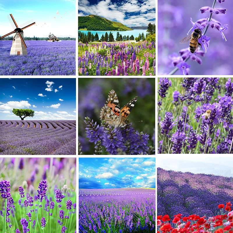 

Purple Lavender Sea Flowers Diamond Painting Windmill Full Kit Rhinestone Embroidery Painting Cross Stitch Diamond Wall Decor
