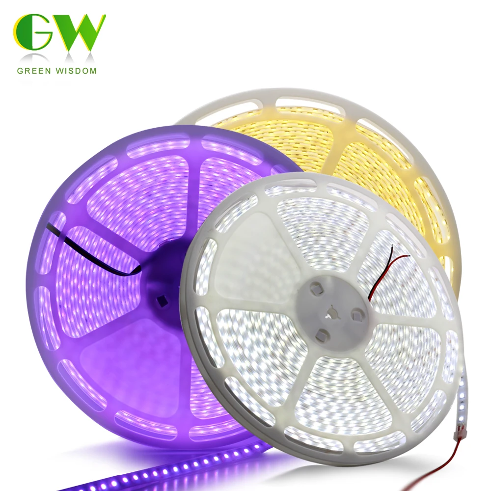 cheap DC24V LED Strip 5050 Waterproof IP67 Flexible Light Strip 20M Lot 60LEDs m Warm White White RGB Outdoor Lighting