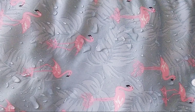 9036871192_969215960