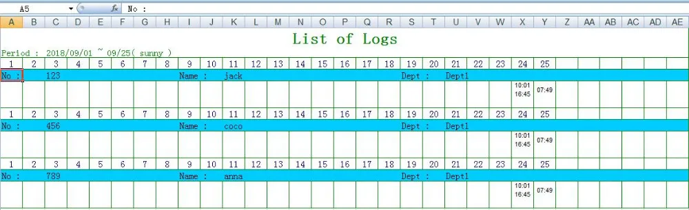 Excel report2