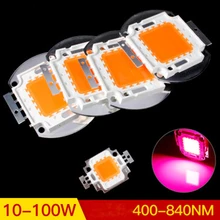 Высокая мощность 10-100 Вт полный спектр светодиодный светильник бусины 380-840nm интегрированные растительные огни полная ленточная лампа бусины