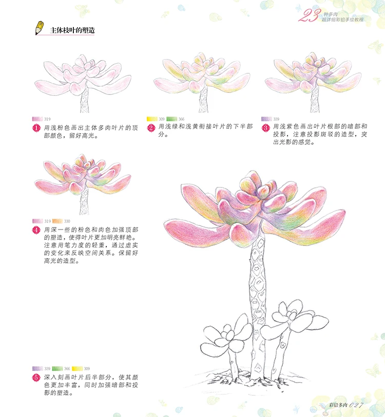Цветной карандаш основы учебник: учитесь 23 стиля суккуленты художественная книга