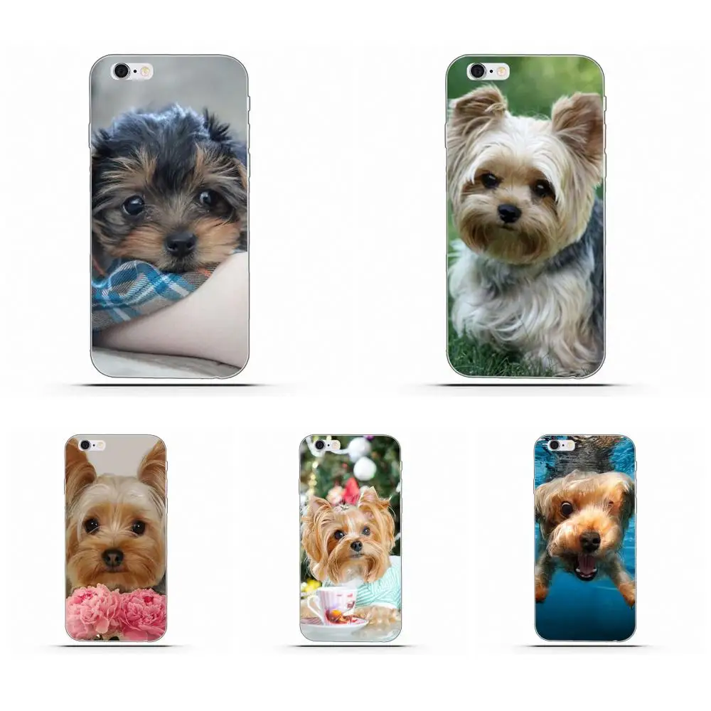 Wexoeq Soft Personalized Pattern For LG G2 G3 mini spirit G4 G5 G6 K4 K7 K8 K10 2017 V10 V20 V30 Yorkshire Terrier Dog Pet Puppy | Мобильные