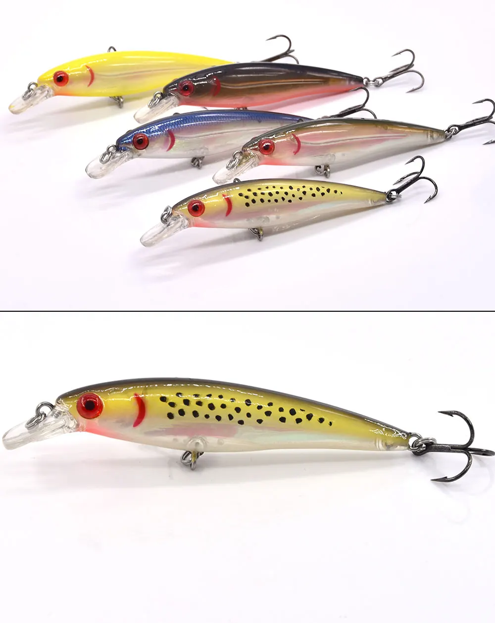 Killer-minnow1_04