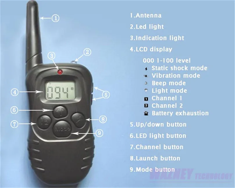 H198--- 10.