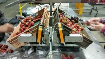 

UHF RFID Reader Module 865-868mhz for Military Logistics and Asset Tracking