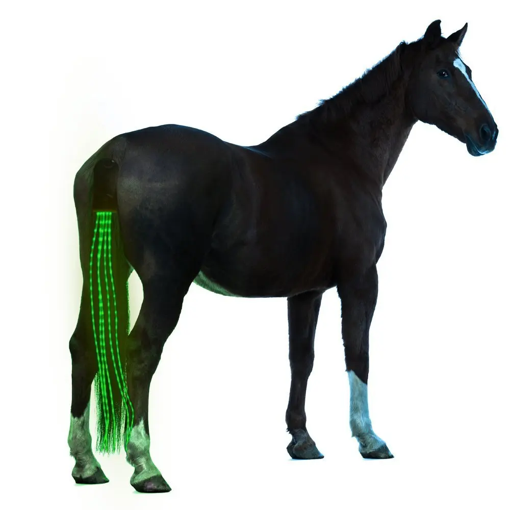 100 см USB заряженный светодиодный конский хвост для верховой езды светящиеся трубы Конное седло светодиодный конский хвост для верховой езды - Цвет: 100cm long green