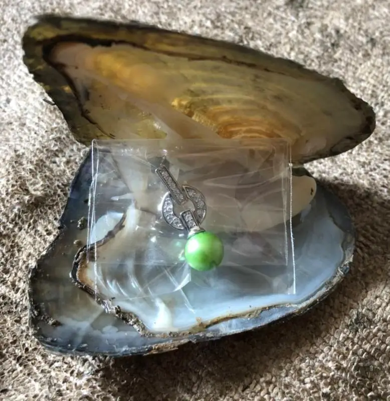 

Fortune Jewelry.There is a Freshwater Shell and a Freshwater Pearl with a Sterling silver item of jewellery inside the oyster.