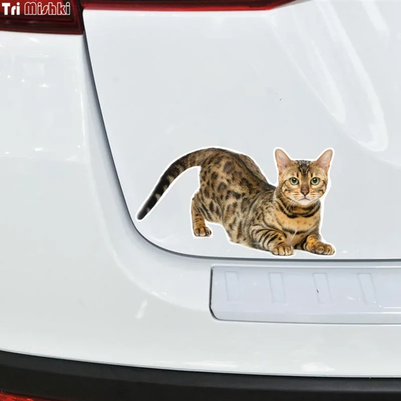 Tri Mishki WCS629 11x21 см Бенгальская кошка Сибирская забавные автомобильные наклейки