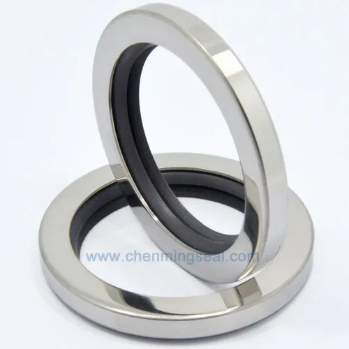 65*90*12 mm CCW Dual Lip PTFE Oil Seal with SS304 Housing For Screw