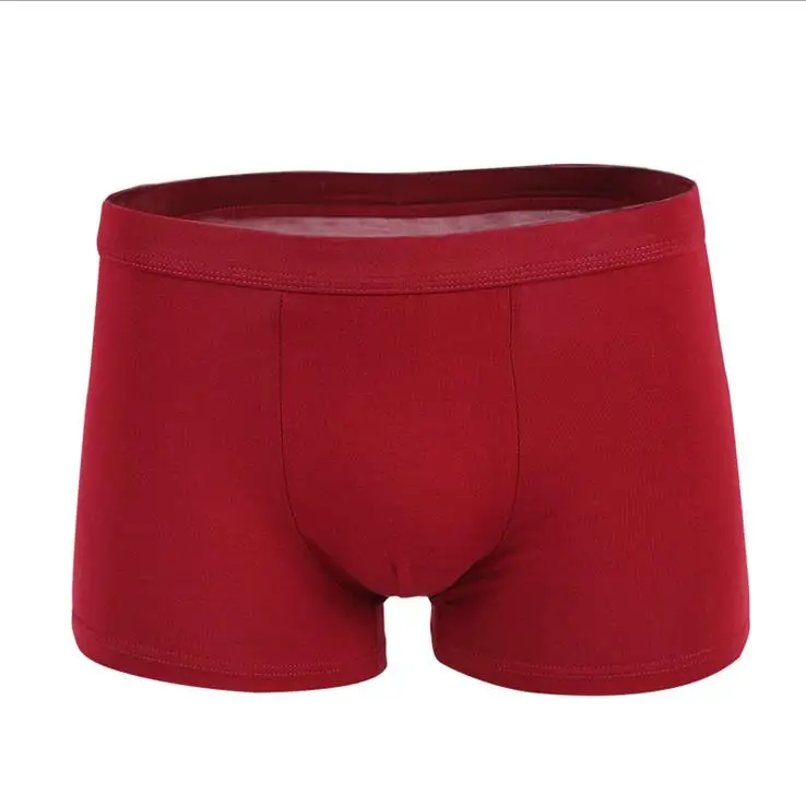 boxer (5)_