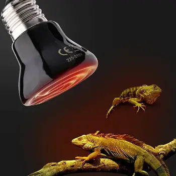 

Adeeing Stylish Durable Mini Ceramic Heater for Reptiles and Amphibians