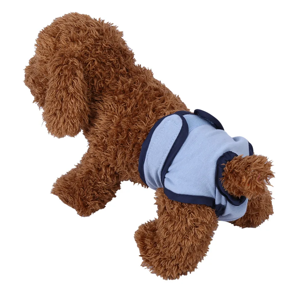 dog underwear for heat