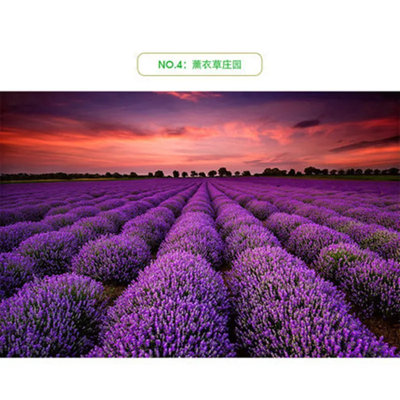 Fashion Fine bedroom carpet Creative 3D Print Hallway Carpets for Living Room Home Area Rug Stair Delicate carpet Parlor Doormat Fashion Fine bedroom carpet Creative 3D Print Hallway Carpets for Living Room Home Area Rug Stair Delicate carpet Parlor Doormat