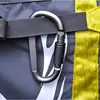D-Shaped Carabiner 2