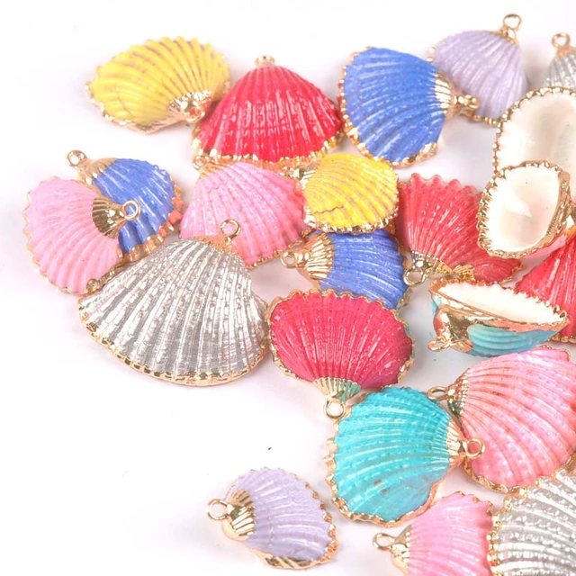 20 Pieces Natural Nassariidae Shells Small Sea Shells for Crafting Spiral  Conch Shells for Crafts Charms for Home Decorations - AliExpress