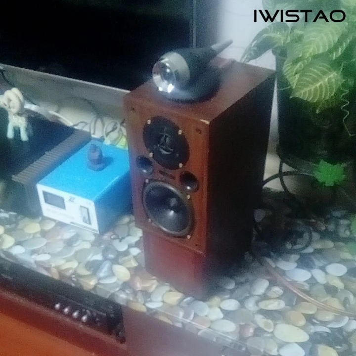 Iwistao HIFI трембл динамик 1 пара 30 Вт 6 Ом NdFeB магнит высокочастотная компенсация для полного динамика