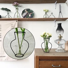 Drie растения железные стеллажи стеклянная ваза домашний сад современный краткое Творческий Декор