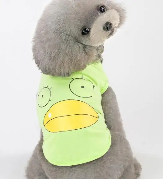 QQ20190318231029