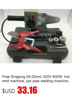 gift dolphin