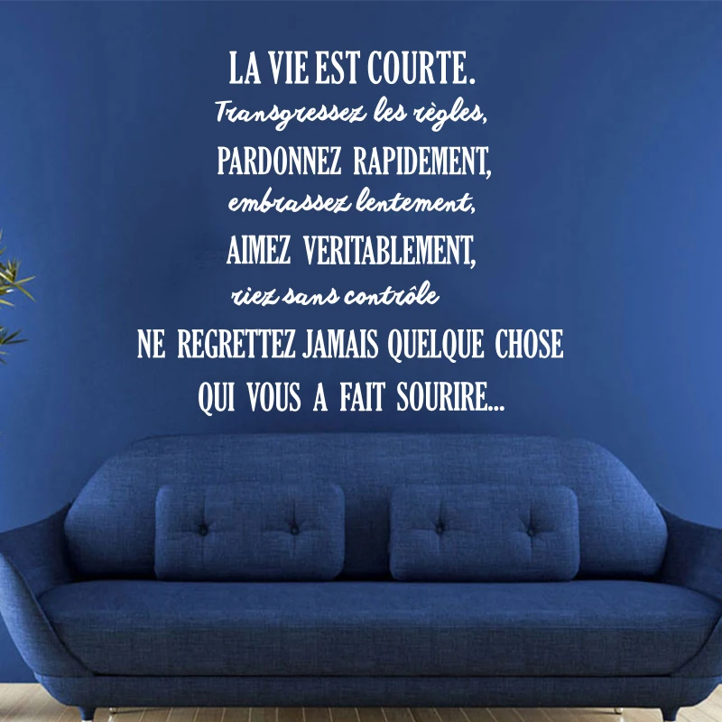 Франция цитаты La Vie Est Courte Съемные Виниловые наклейки на стену, плакат аппликация искусство обои гостиная украшение дома DW1007