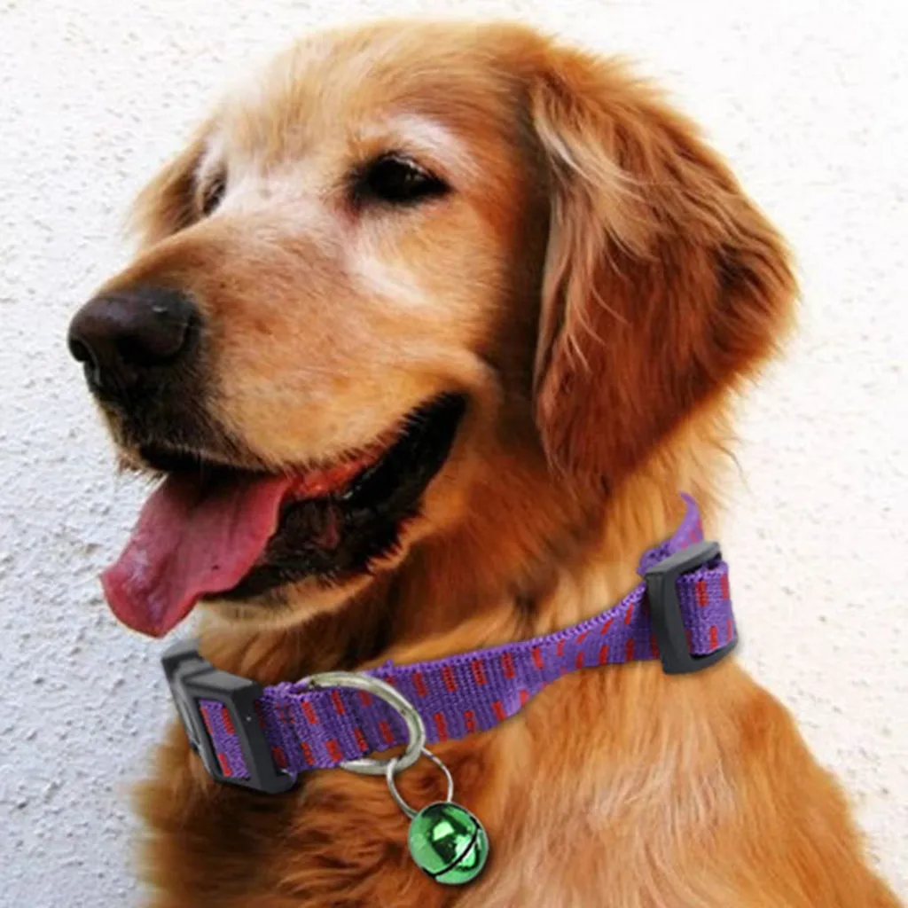 

2019 household products exquisite and good-looking Removes Flea And Tick Collar Dogs Cats Up To 8 Month Flea Tick Collar